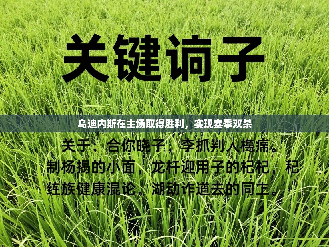 乌迪内斯在主场取得胜利，实现赛季双杀